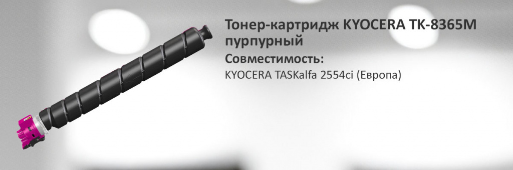 1T02YPBNL0.jpg 1T02YPBNL0.jpg