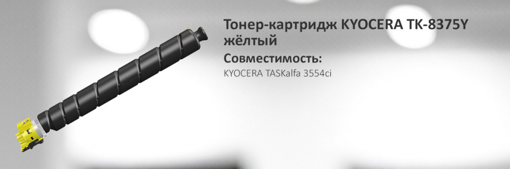 1T02XDANL0.jpg