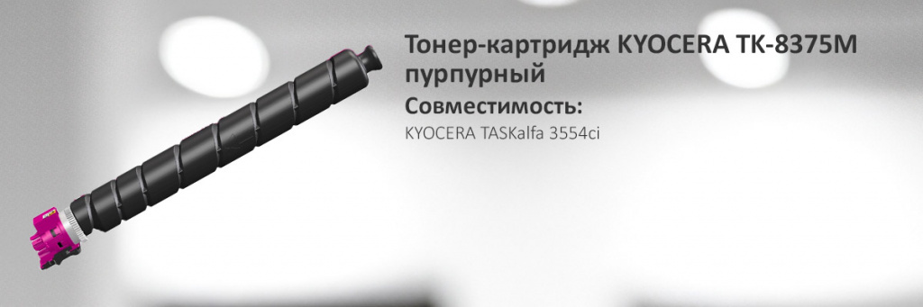 1T02XDBNL0.jpg