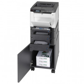 KYOCERA ECOSYS P6021cdn принтер лазерный цветной А4, 9600 x 600 dpi, 21 стр/мин чёрно-белой и цветной печати